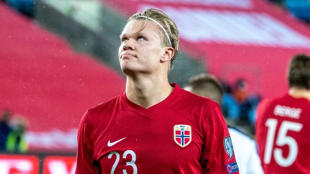 相较许多洋 相较许多洋