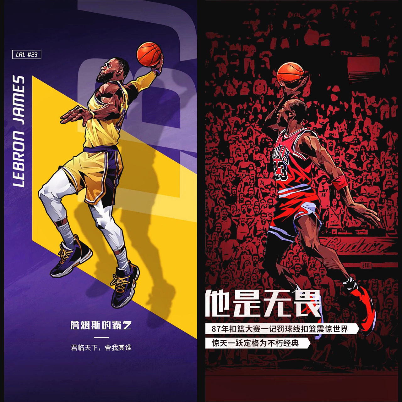 篮板保护